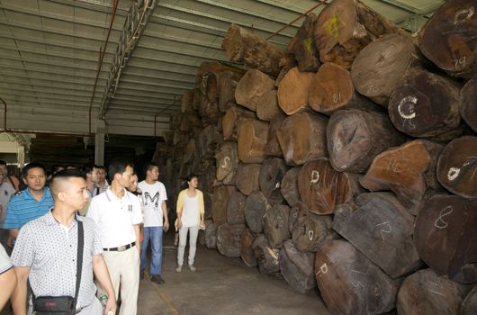 阳光红木仓储3.jpg